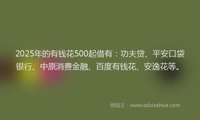 2025年的有钱花500起借有：功夫贷、平安口袋银行、中原消费金融、百度有钱花、安逸花等。