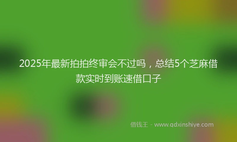2025年最新拍拍终审会不过吗，总结5个芝麻借款实时到账速借口子