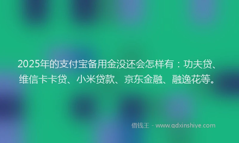 2025年的支付宝备用金没还会怎样有：功夫贷、维信卡卡贷、小米贷款、京东金融、融逸花等。