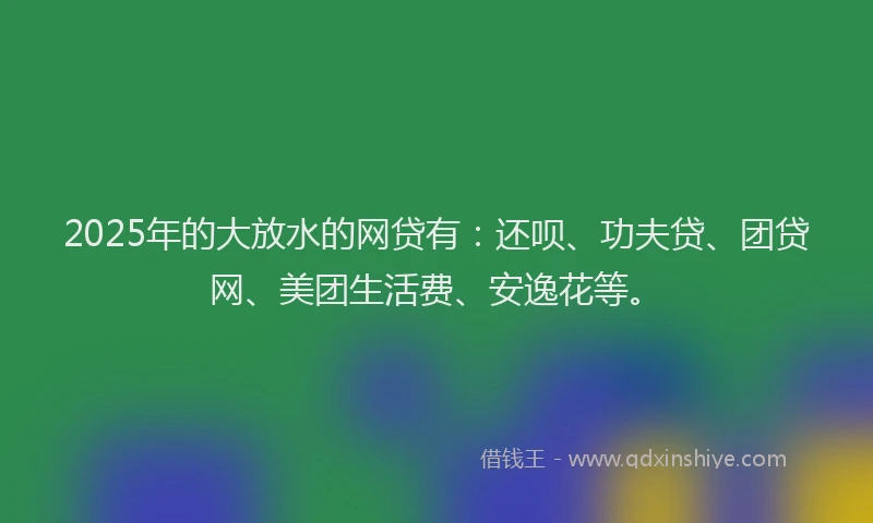 2025年的大放水的网贷有：还呗、功夫贷、团贷网、美团生活费、安逸花等。