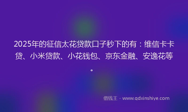2025年的征信太花贷款口子秒下的有：维信卡卡贷、小米贷款、小花钱包、京东金融、安逸花等。