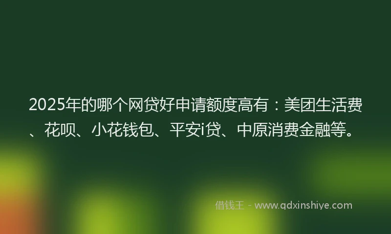 2025年的哪个网贷好申请额度高有：美团生活费、花呗、小花钱包、平安i贷、中原消费金融等。