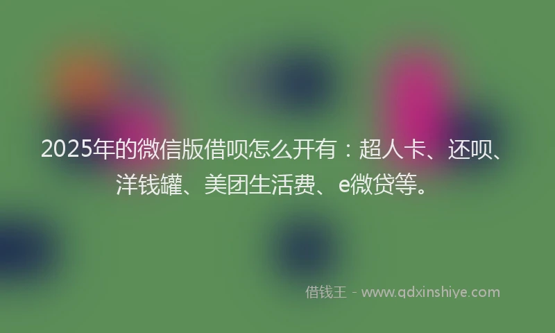 2025年的微信版借呗怎么开有：超人卡、还呗、洋钱罐、美团生活费、e微贷等。