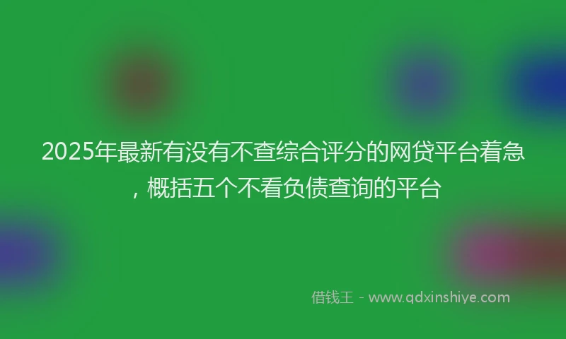 2025年最新有没有不查综合评分的网贷平台着急，概括五个不看负债查询的平台