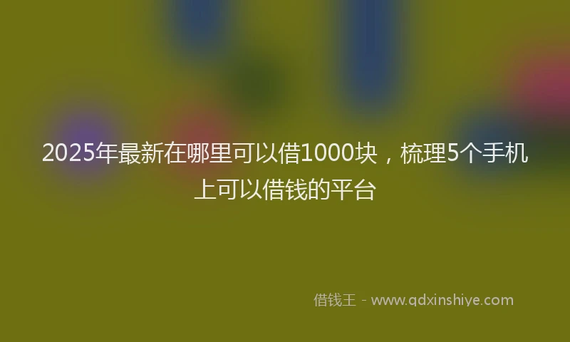 2025年最新在哪里可以借1000块，梳理5个手机上可以借钱的平台