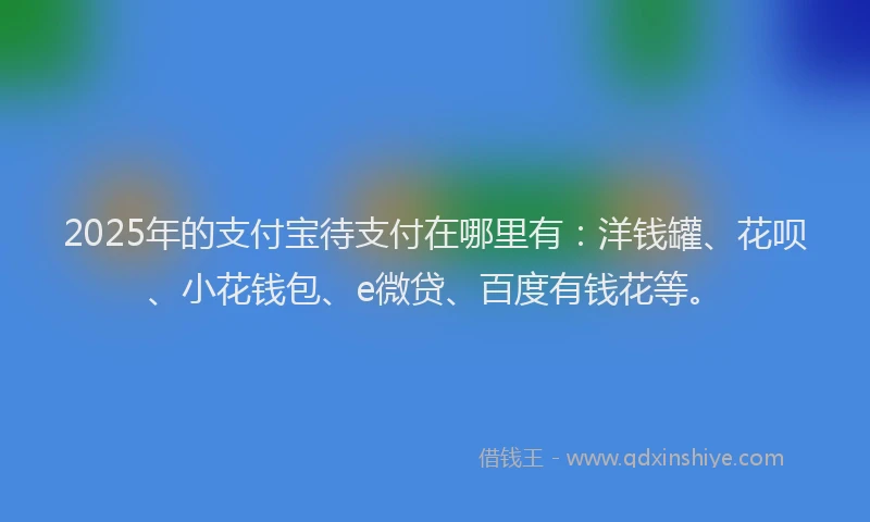 2025年的支付宝待支付在哪里有：洋钱罐、花呗、小花钱包、e微贷、百度有钱花等。
