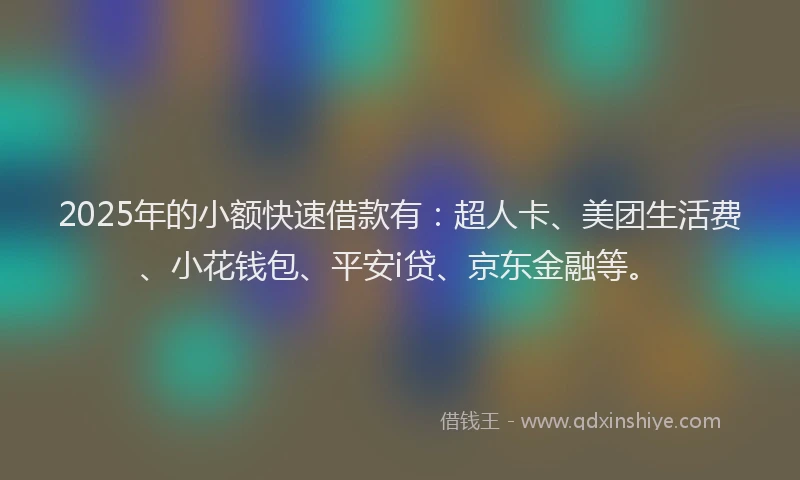 2025年的小额快速借款有：超人卡、美团生活费、小花钱包、平安i贷、京东金融等。
