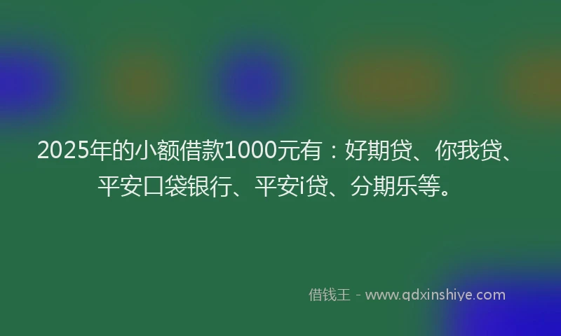 2025年的小额借款1000元有：好期贷、你我贷、平安口袋银行、平安i贷、分期乐等。