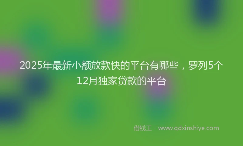 2025年最新小额放款快的平台有哪些，罗列5个12月独家贷款的平台