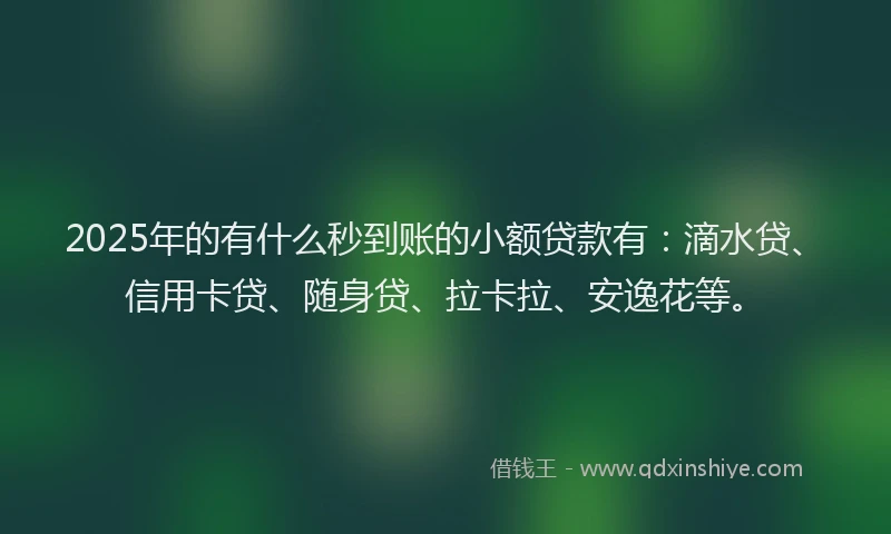 2025年的有什么秒到账的小额贷款有：滴水贷、信用卡贷、随身贷、拉卡拉、安逸花等。