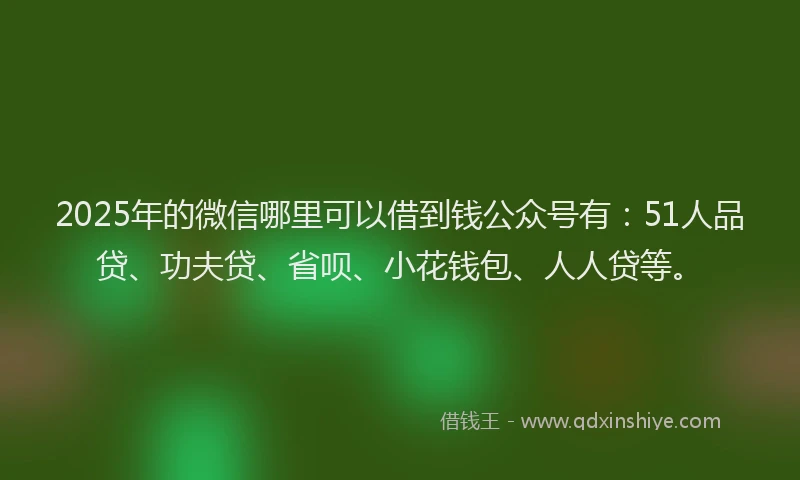 2025年的微信哪里可以借到钱公众号有：51人品贷、功夫贷、省呗、小花钱包、人人贷等。
