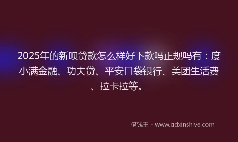 2025年的新呗贷款怎么样好下款吗正规吗有：度小满金融、功夫贷、平安口袋银行、美团生活费、拉卡拉等。