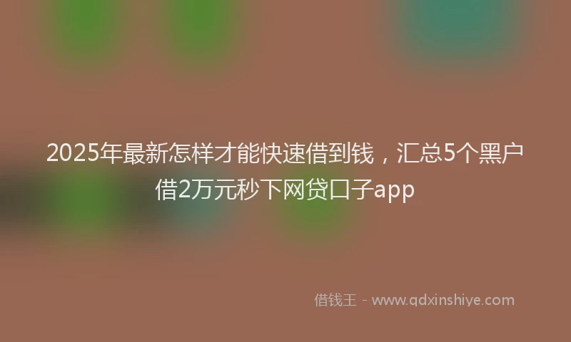 2025年最新怎样才能快速借到钱，汇总5个黑户借2万元秒下网贷口子app