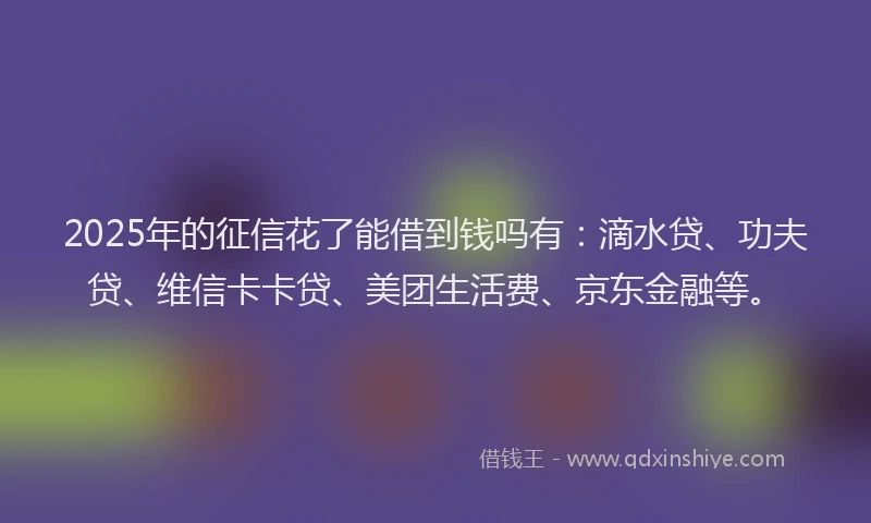 2025年的征信花了能借到钱吗有：滴水贷、功夫贷、维信卡卡贷、美团生活费、京东金融等。
