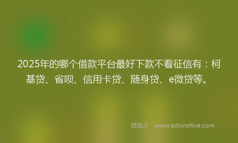 2025年的哪个借款平台最好下款不看征信有：柯基贷、省呗、信用卡贷、随身贷、e微贷等。