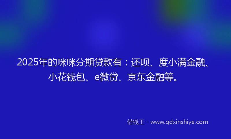 2025年的咪咪分期贷款有：还呗、度小满金融、小花钱包、e微贷、京东金融等。