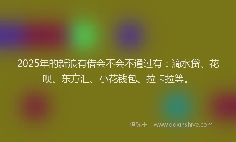 2025年的新浪有借会不会不通过有：滴水贷、花呗、东方汇、小花钱包、拉卡拉等。