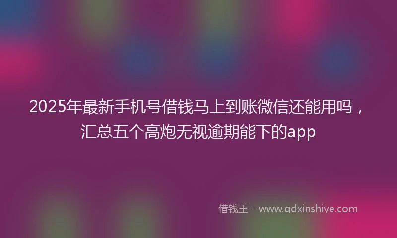 2025年最新手机号借钱马上到账微信还能用吗，汇总五个高炮无视逾期能下的app