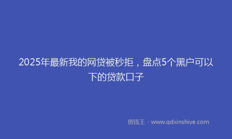 2025年最新我的网贷被秒拒，盘点5个黑户可以下的贷款口子