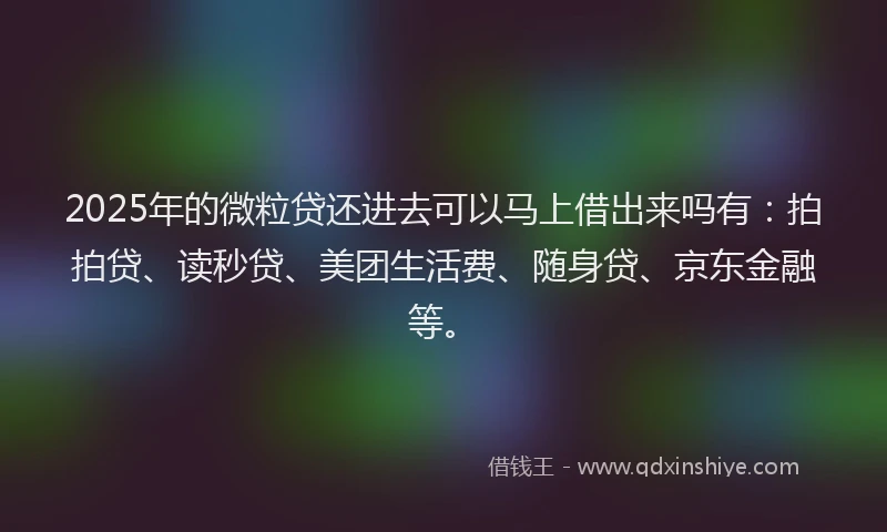 2025年的微粒贷还进去可以马上借出来吗有：拍拍贷、读秒贷、美团生活费、随身贷、京东金融等。