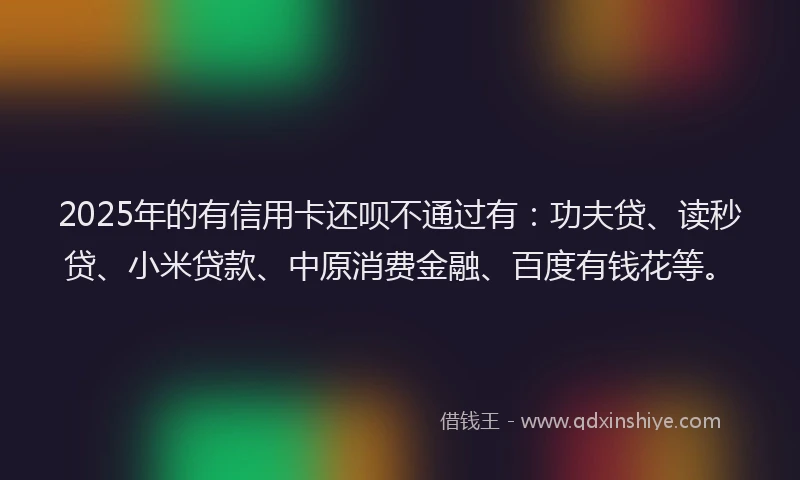 2025年的有信用卡还呗不通过有：功夫贷、读秒贷、小米贷款、中原消费金融、百度有钱花等。