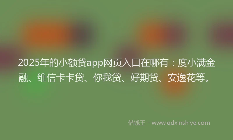 2025年的小额贷app网页入口在哪有：度小满金融、维信卡卡贷、你我贷、好期贷、安逸花等。