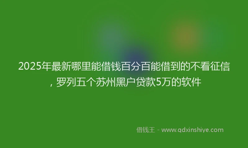 2025年最新哪里能借钱百分百能借到的不看征信，罗列五个苏州黑户贷款5万的软件