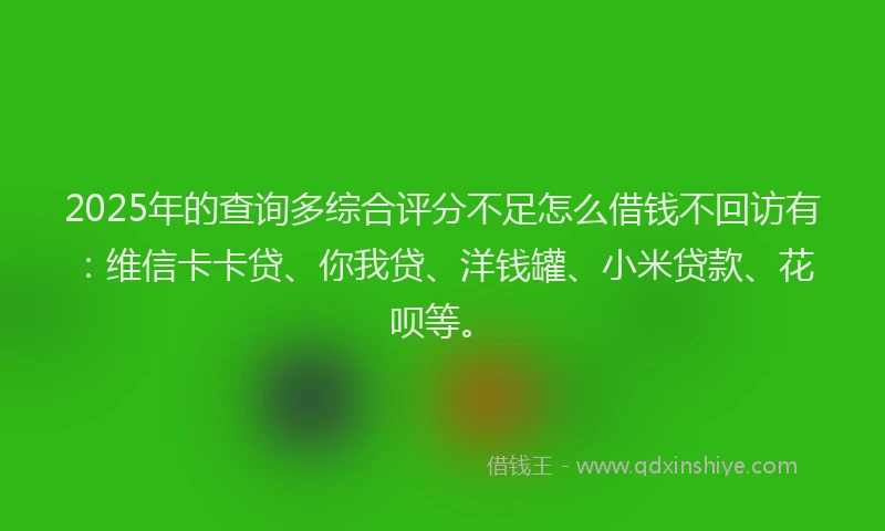 2025年的查询多综合评分不足怎么借钱不回访有：维信卡卡贷、你我贷、洋钱罐、小米贷款、花呗等。