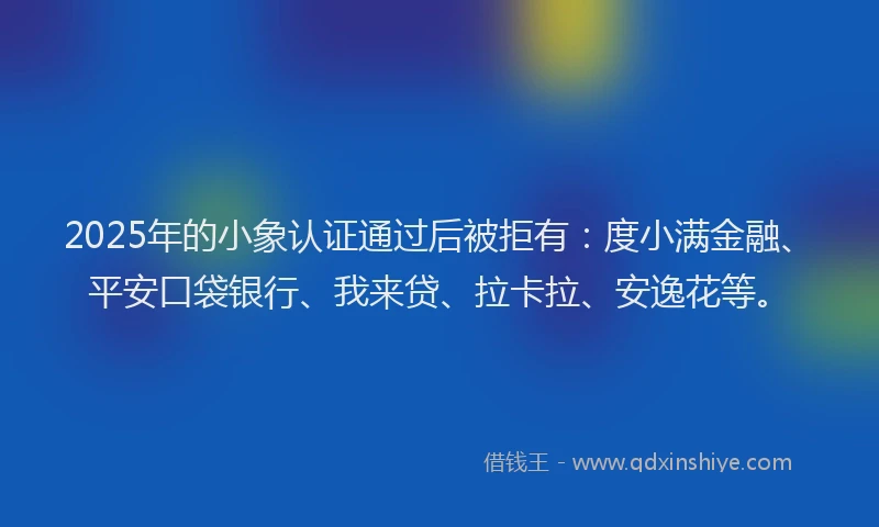 2025年的小象认证通过后被拒有：度小满金融、平安口袋银行、我来贷、拉卡拉、安逸花等。