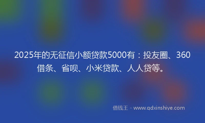 2025年的无征信小额贷款5000有：投友圈、360借条、省呗、小米贷款、人人贷等。