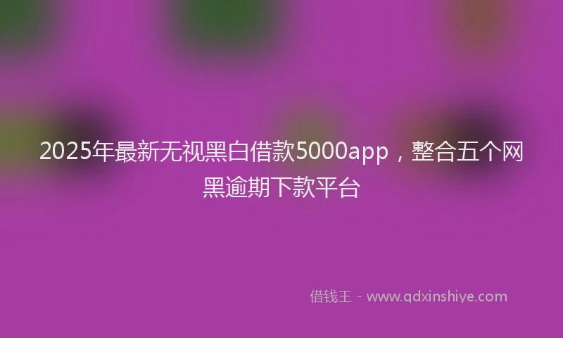 2025年最新无视黑白借款5000app，整合五个网黑逾期下款平台