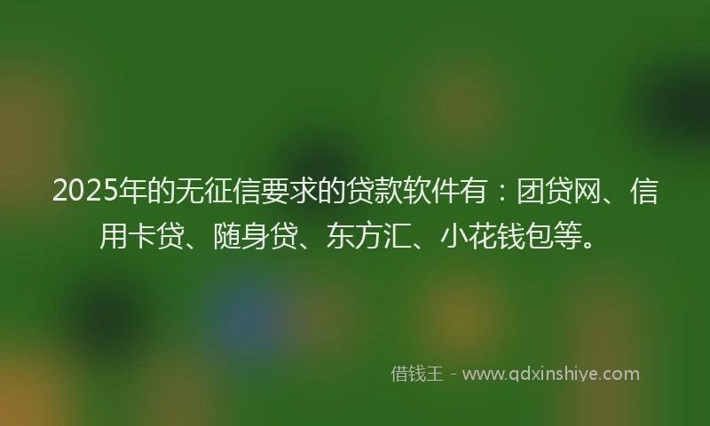 2025年的无征信要求的贷款软件有：团贷网、信用卡贷、随身贷、东方汇、小花钱包等。