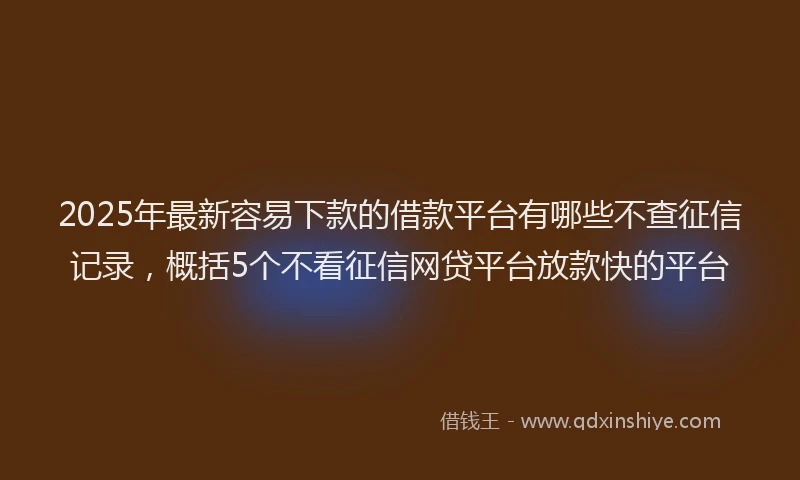 2025年最新容易下款的借款平台有哪些不查征信记录，概括5个不看征信网贷平台放款快的平台