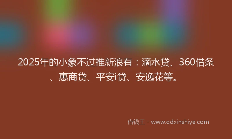2025年的小象不过推新浪有：滴水贷、360借条、惠商贷、平安i贷、安逸花等。