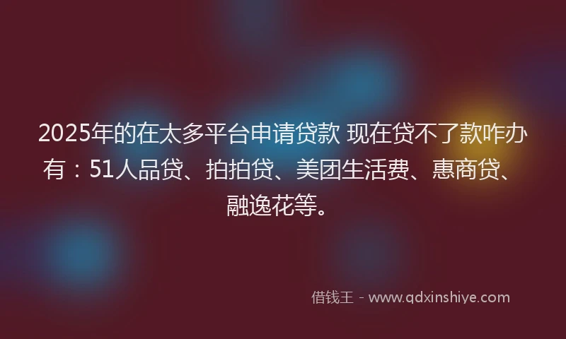 2025年的在太多平台申请贷款 现在贷不了款咋办有：51人品贷、拍拍贷、美团生活费、惠商贷、融逸花等。