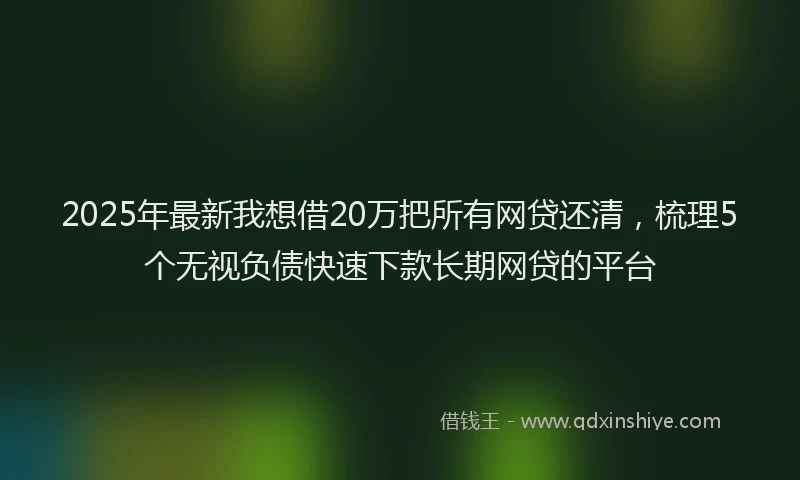 2025年最新我想借20万把所有网贷还清，梳理5个无视负债快速下款长期网贷的平台