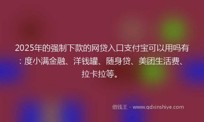 2025年的强制下款的网贷入口支付宝可以用吗有：度小满金融、洋钱罐、随身贷、美团生活费、拉卡拉等。