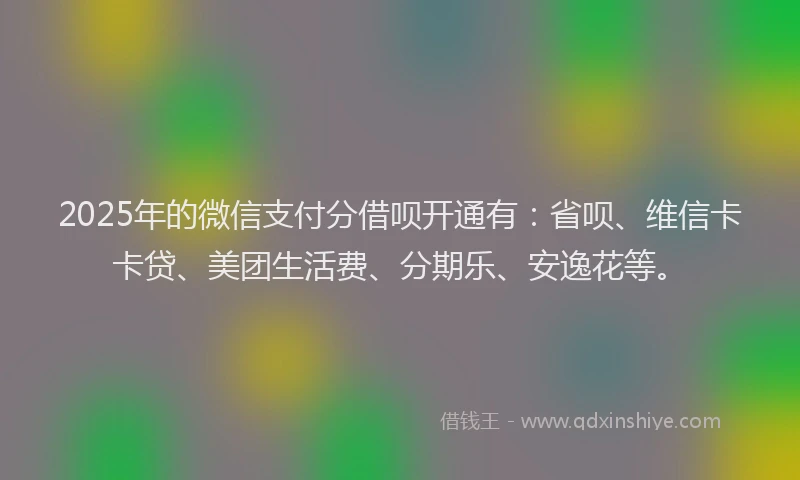 2025年的微信支付分借呗开通有：省呗、维信卡卡贷、美团生活费、分期乐、安逸花等。