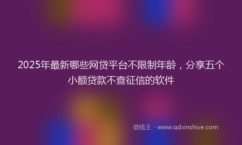 2025年最新哪些网贷平台不限制年龄，分享五个小额贷款不查征信的软件