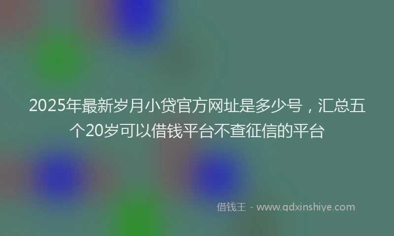 2025年最新岁月小贷官方网址是多少号，汇总五个20岁可以借钱平台不查征信的平台