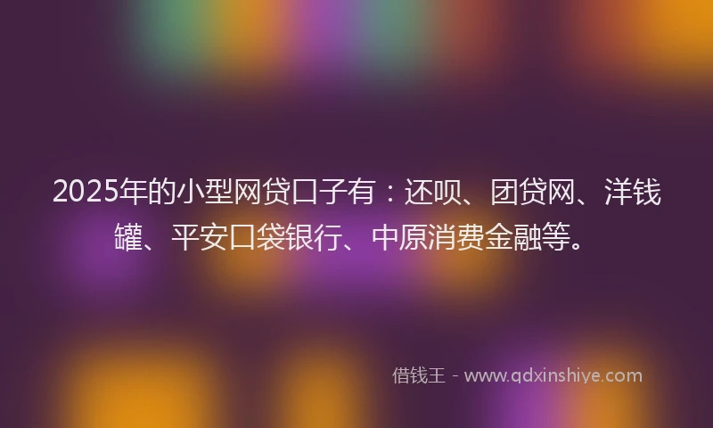 2025年的小型网贷口子有：还呗、团贷网、洋钱罐、平安口袋银行、中原消费金融等。