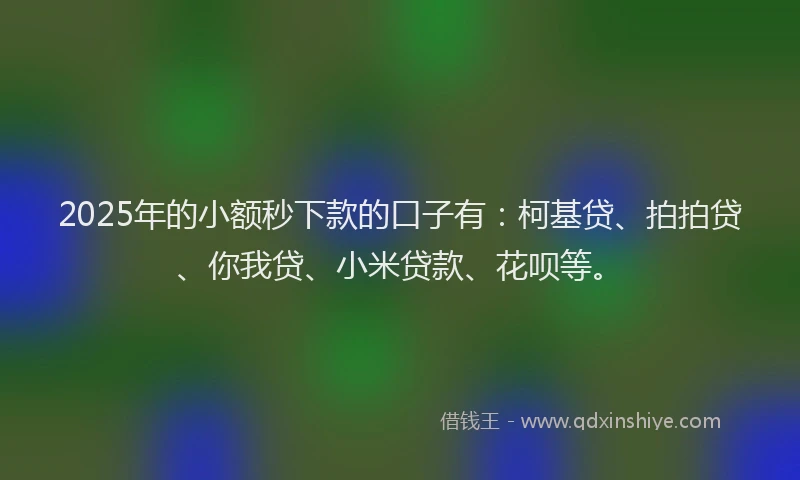 2025年的小额秒下款的口子有：柯基贷、拍拍贷、你我贷、小米贷款、花呗等。