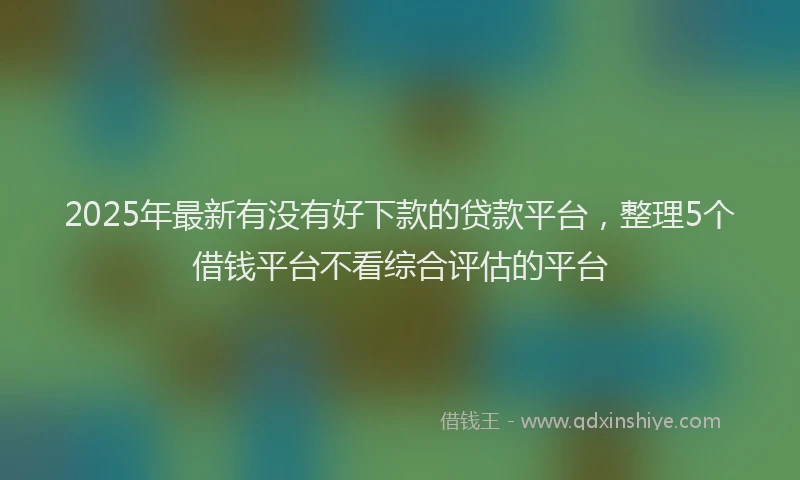 2025年最新有没有好下款的贷款平台，整理5个借钱平台不看综合评估的平台