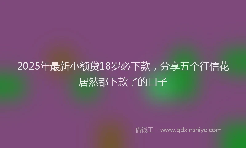 2025年最新小额贷18岁必下款，分享五个征信花居然都下款了的口子