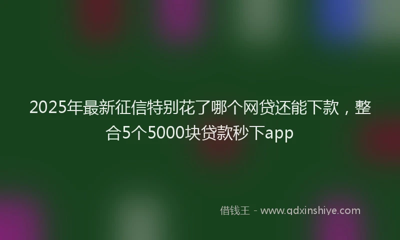 2025年最新征信特别花了哪个网贷还能下款，整合5个5000块贷款秒下app