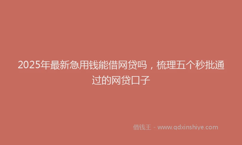 2025年最新急用钱能借网贷吗，梳理五个秒批通过的网贷口子