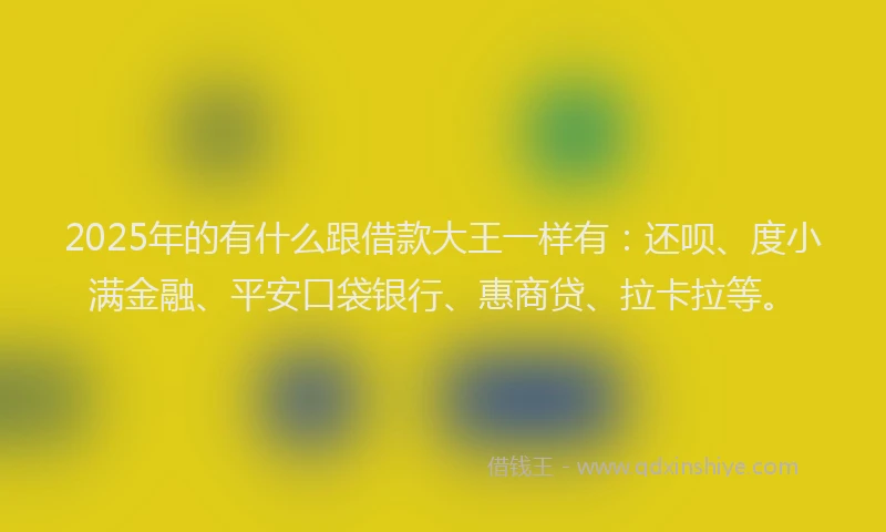 2025年的有什么跟借款大王一样有：还呗、度小满金融、平安口袋银行、惠商贷、拉卡拉等。