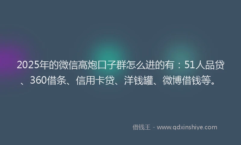 2025年的微信高炮口子群怎么进的有：51人品贷、360借条、信用卡贷、洋钱罐、微博借钱等。