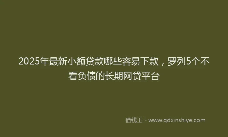 2025年最新小额贷款哪些容易下款，罗列5个不看负债的长期网贷平台