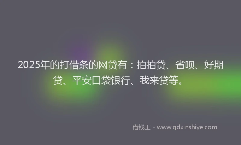 2025年的打借条的网贷有：拍拍贷、省呗、好期贷、平安口袋银行、我来贷等。